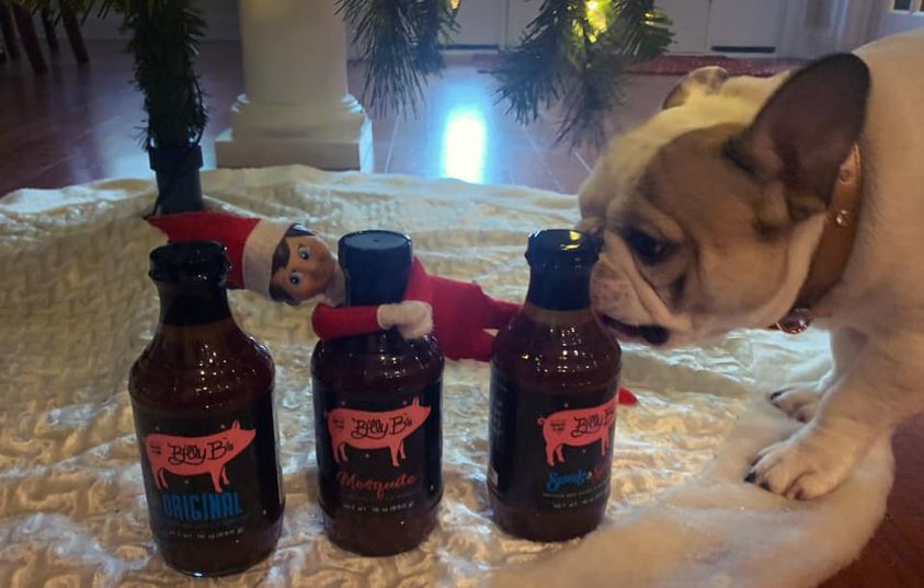 BBQ bottles with cute little dog sniffing one